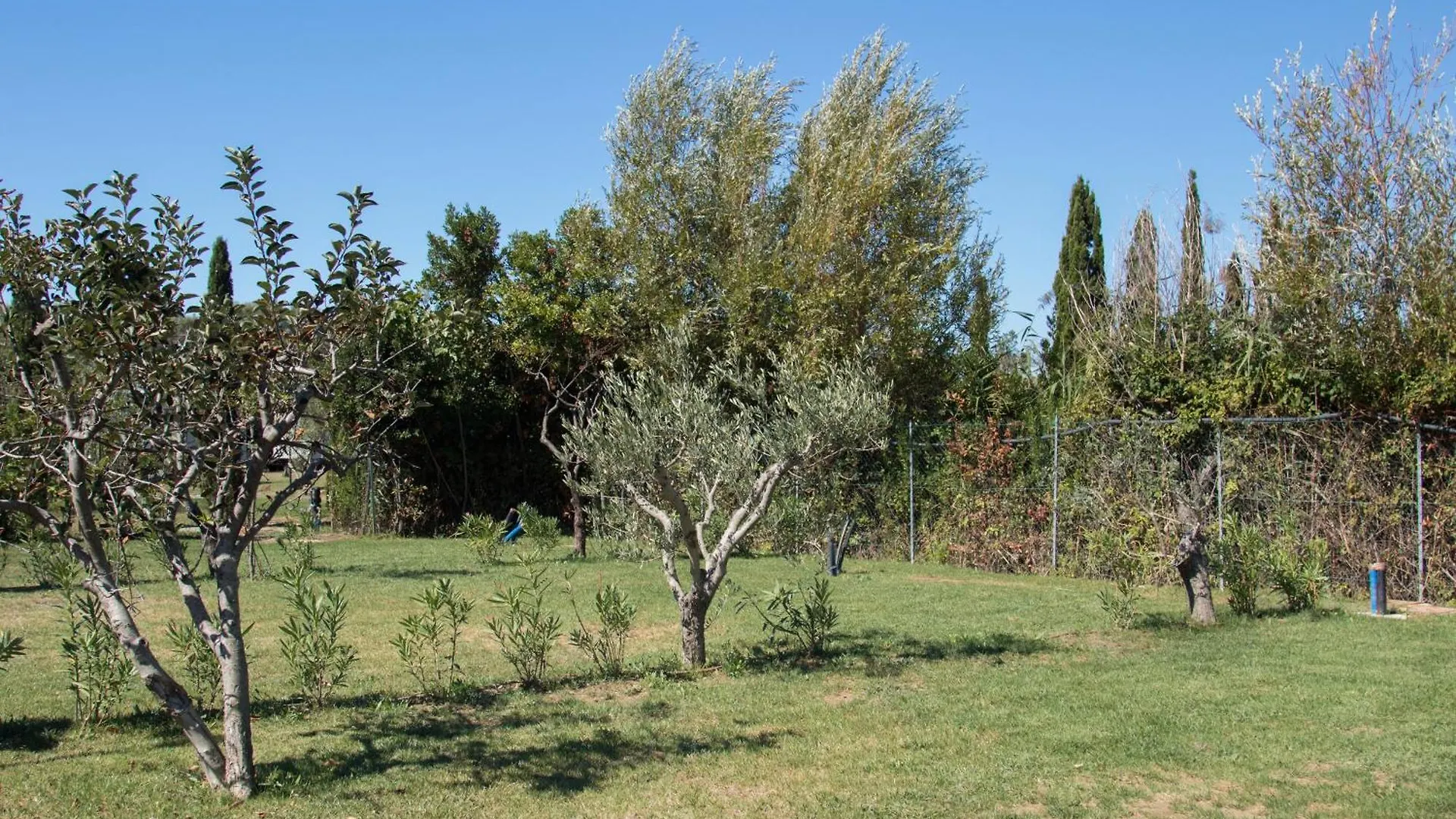 Agricampeggio Ippocampo La Cinquantina Campsite