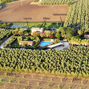  Casa vacanze Podere Campi Al Mare